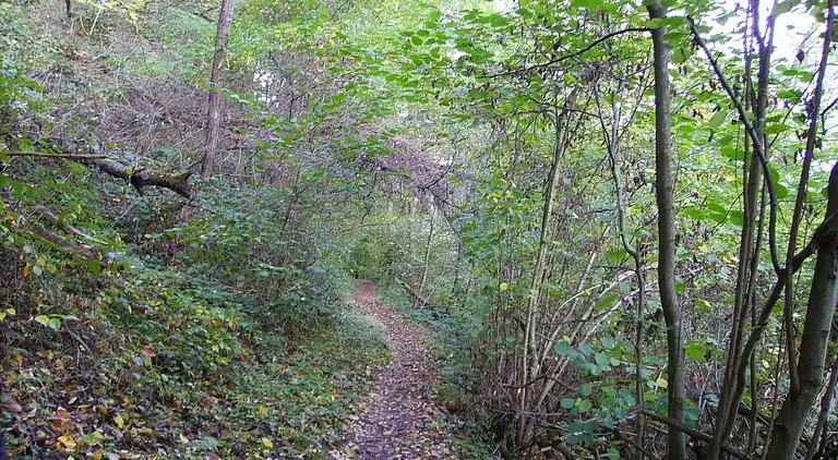 Ferienwohnung in Hammelswiese
