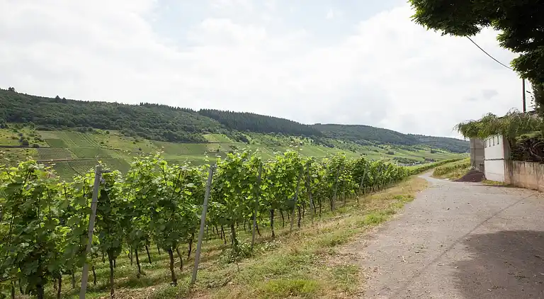 Ferielejlighed i Reil