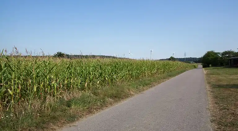 Holiday home in Belg