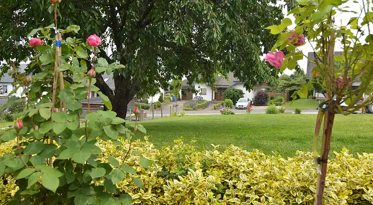 Holiday home in Mastershausen