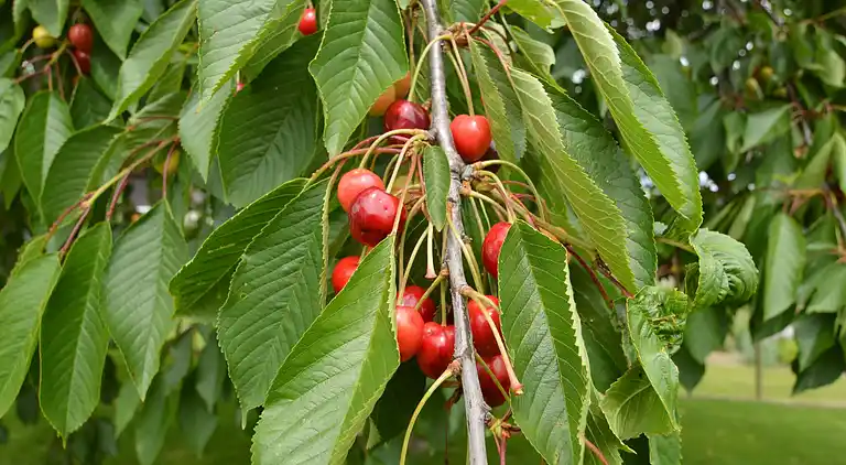 Holiday home in Mastershausen