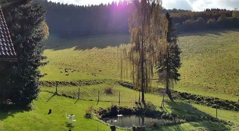 Ferielejlighed i Bruchhausen