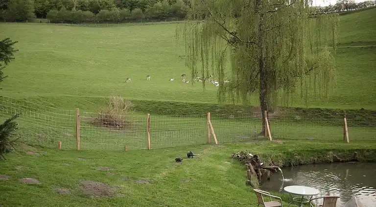 Ferielejlighed i Bruchhausen