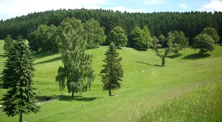 Ferielejlighed i Bruchhausen