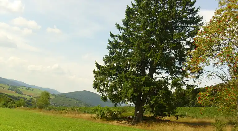 Apartment in Oberkirchen