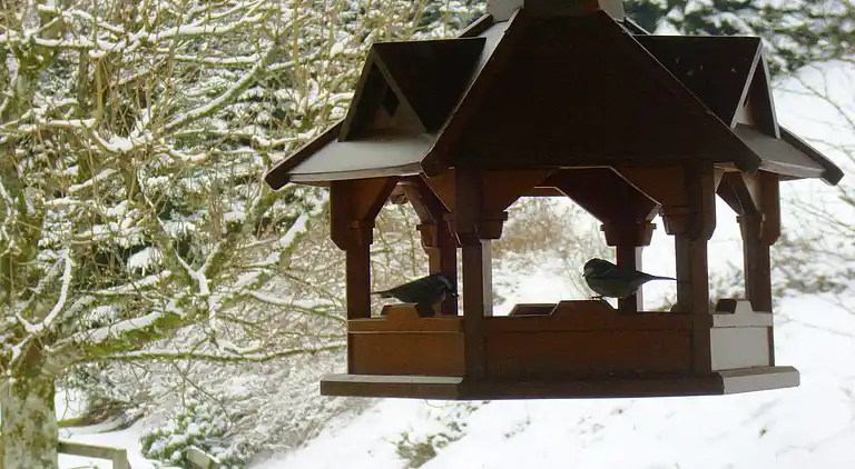 Ferielejlighed i Oberkirchen