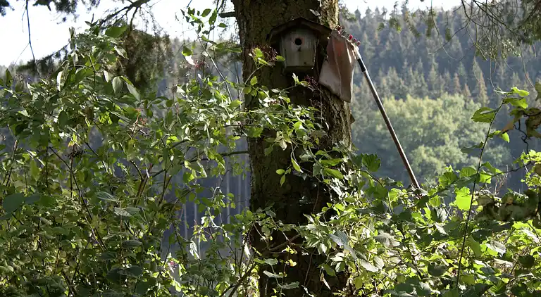 Ferielejlighed i Menkhausen