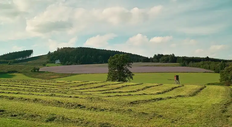 Ferielejlighed i Menkhausen