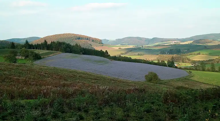 Ferielejlighed i Menkhausen
