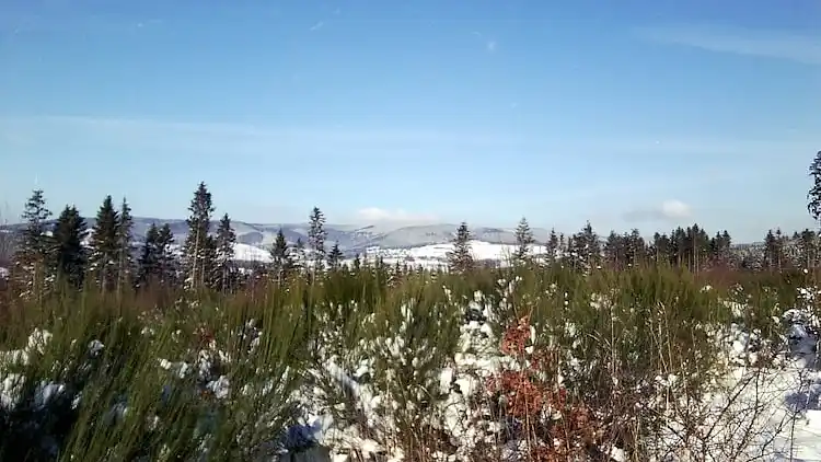 Ferielejlighed i Menkhausen