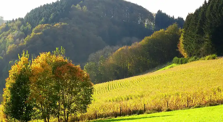 Ferielejlighed i Oberkirchen