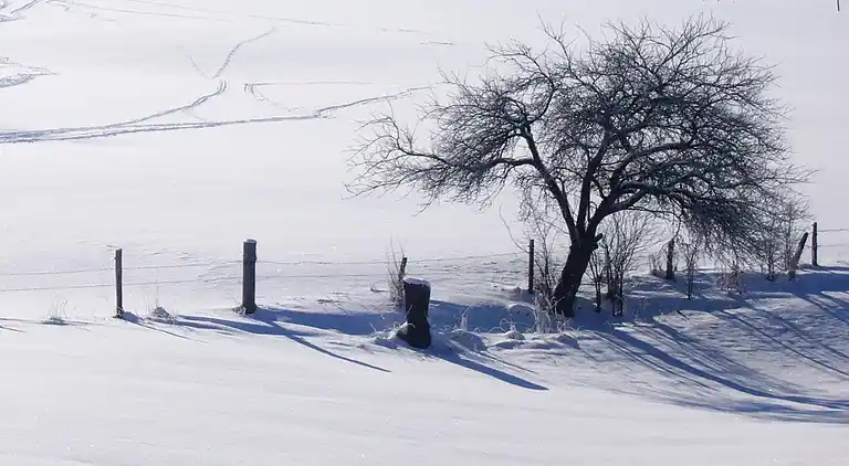 Apartment in Oberkirchen