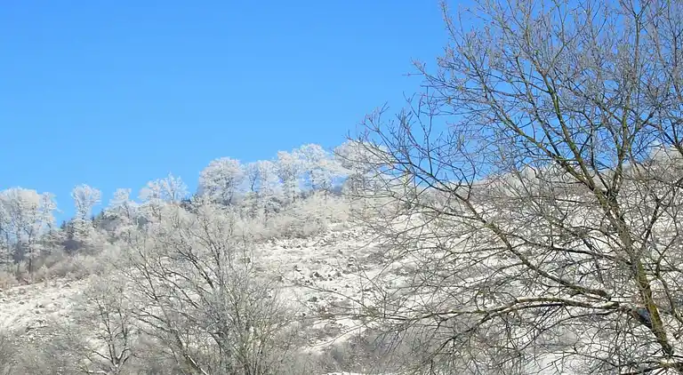 Apartment in Oberkirchen