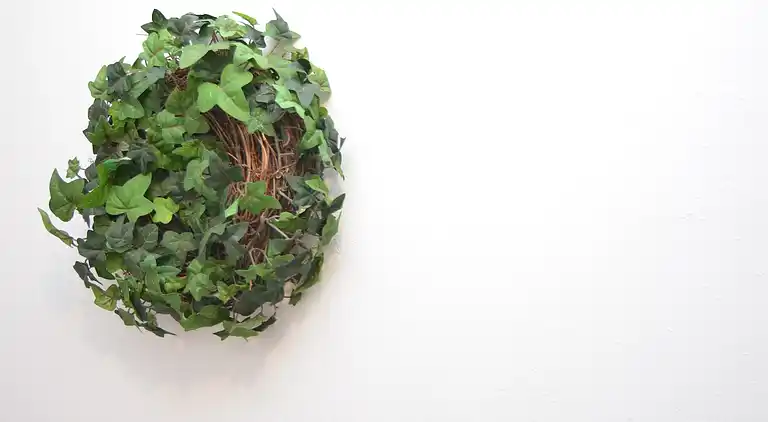 Appartement in Oberkirchen