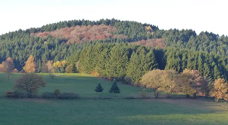 Manor house in Altenilpe