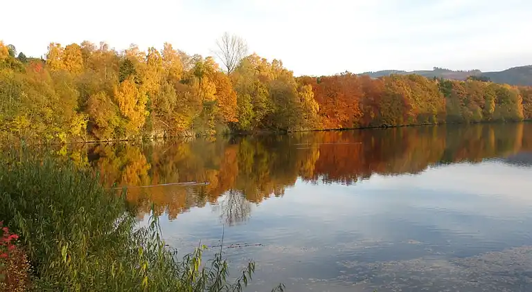 Sommerhus i Feriendorf Hennesee