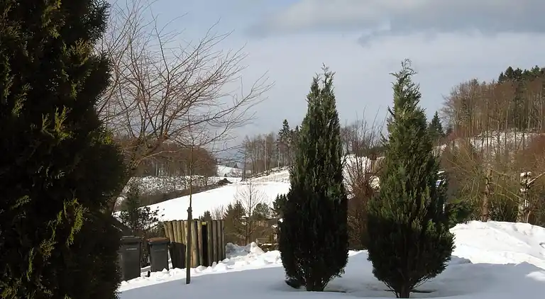 Sommerhus i Feriendorf Hennesee