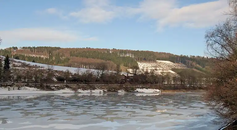 Sommerhus i Feriendorf Hennesee
