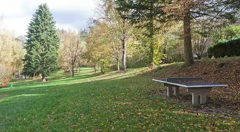 Sommerhus i Feriendorf Hennesee