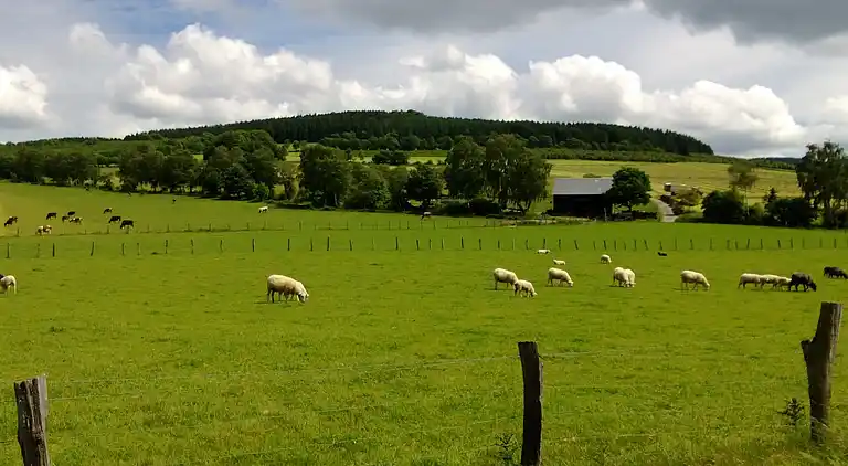 Sommerhus i Wehrstapel