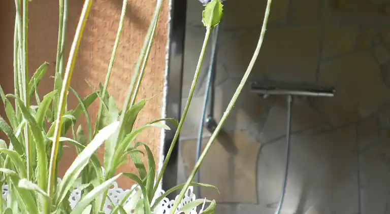 Sommerhus i Wehrstapel