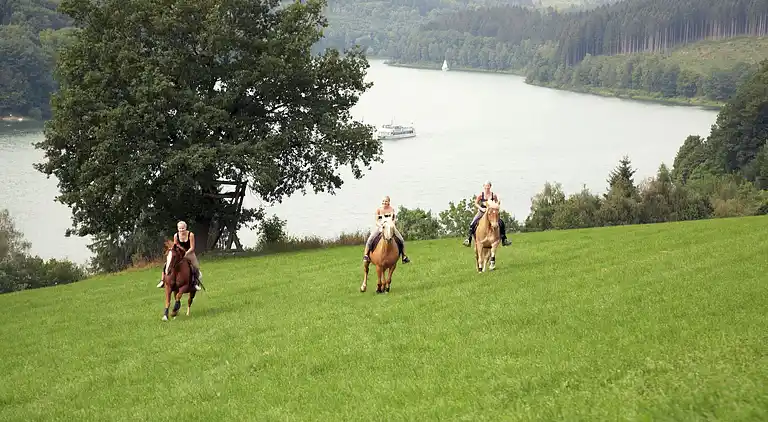 Appartamento in Vellinghausen