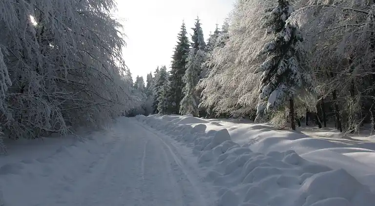 Ferienwohnung in Wennemen