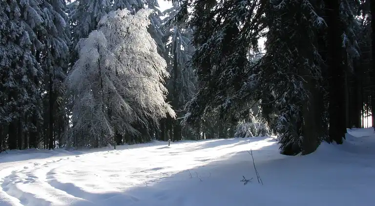 Ferienwohnung in Wennemen