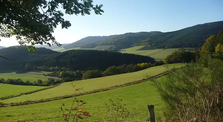 Ferielejlighed i Eslohe (Sauerland)