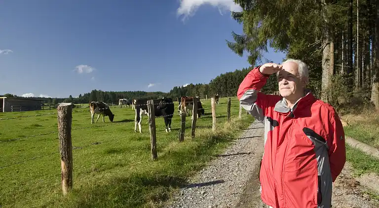 Ferielejlighed i Madfeld