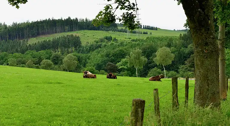 Holiday home in Elpe