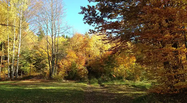 Apartment in Hildfeld