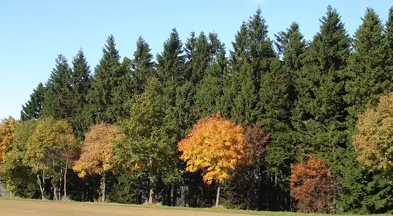 Apartment in Winterberg