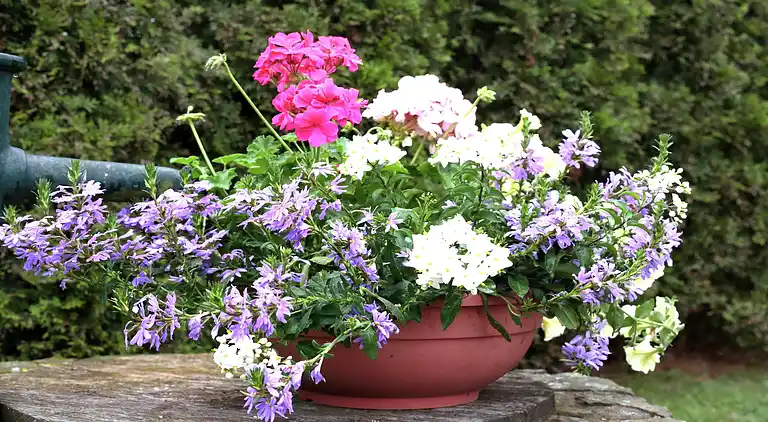 Ferielejlighed i Dreislar