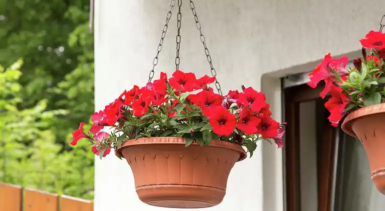 Holiday home in Oberschledorn