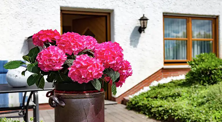 Ferielejlighed i Dreislar