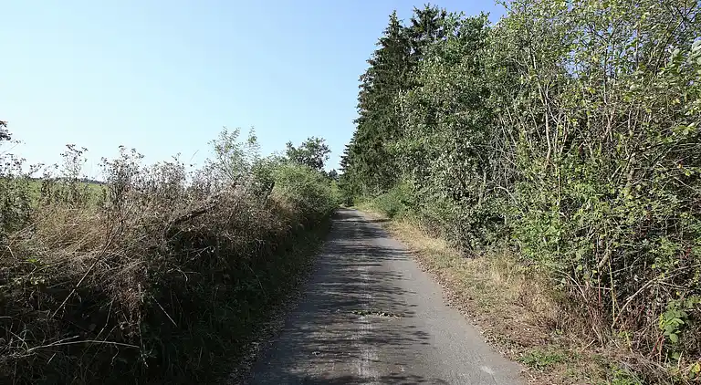 Ferienwohnung in Sauerland
