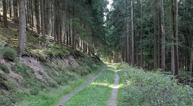 Ferienwohnung in Sauerland