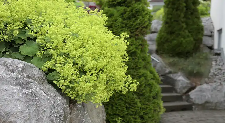 Apartment in Düdinghausen