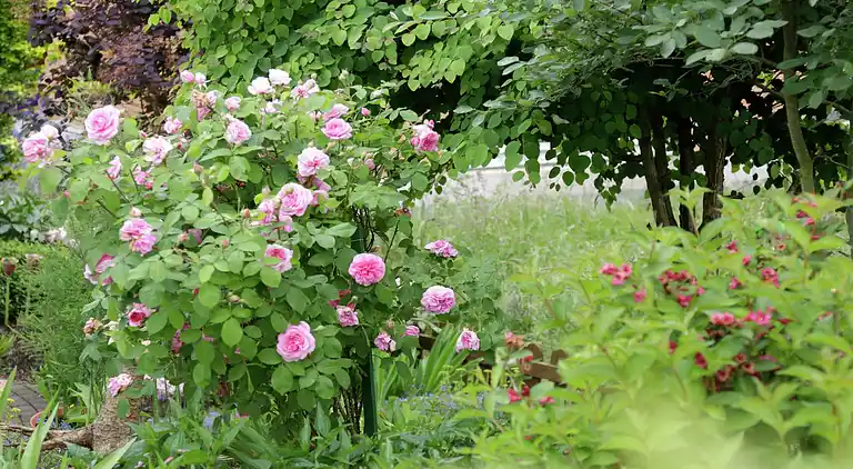 Ferielejlighed i Medelon