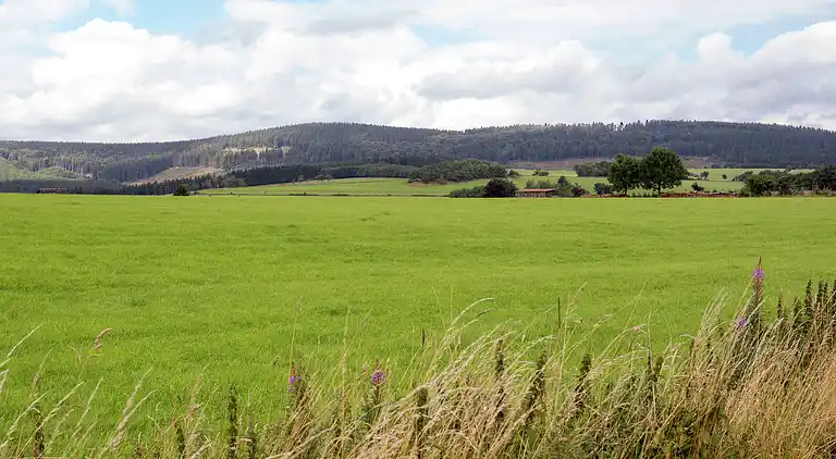 Apartment in Küstelberg