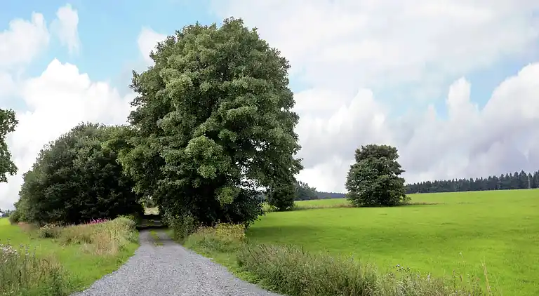 Apartment in Küstelberg