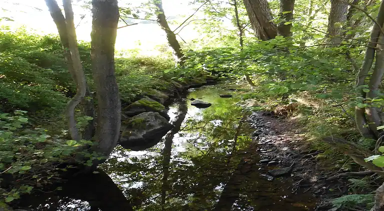 Appartement en Dreislar