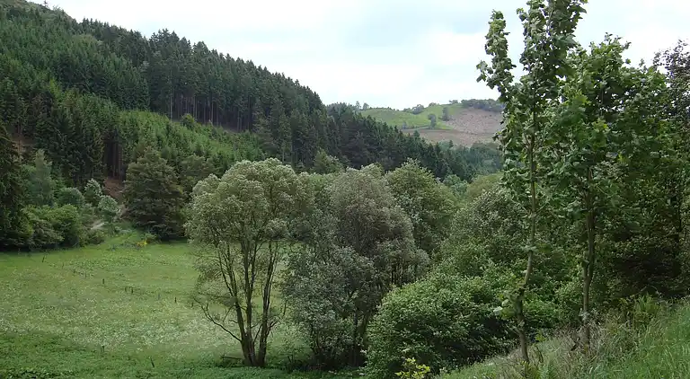 Ferielejlighed i Hesborn