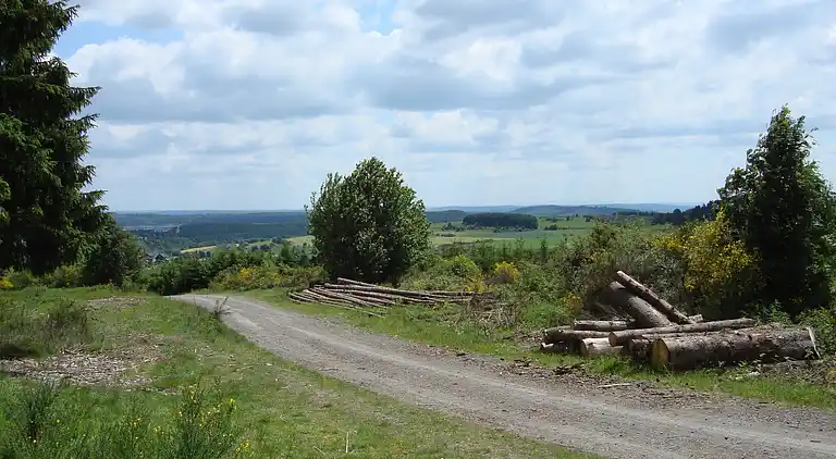 Ferielejlighed i Hesborn