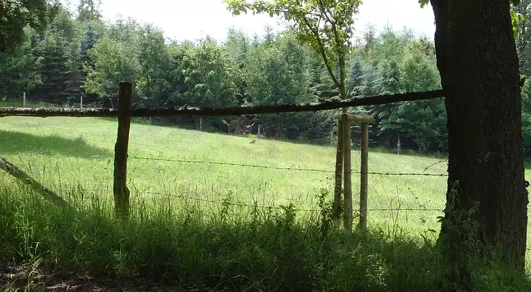 Ferielejlighed i Hesborn