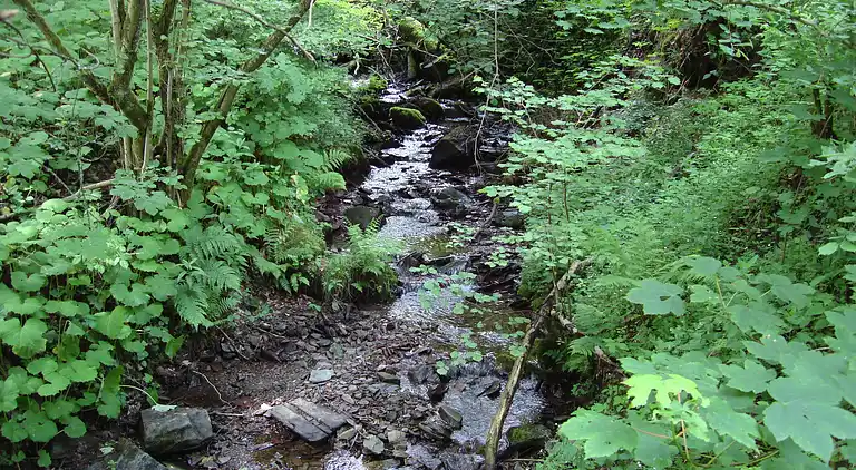 Ferielejlighed i Hesborn