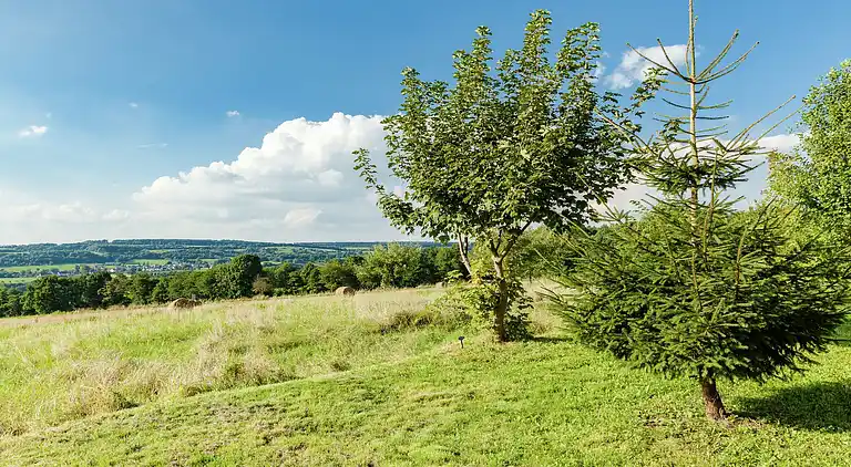 Ferielejlighed i Betzenrod