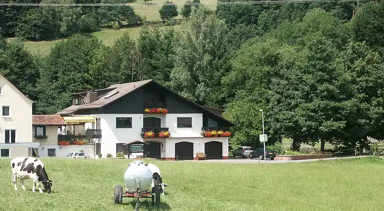 Apartment in Hüttenthal