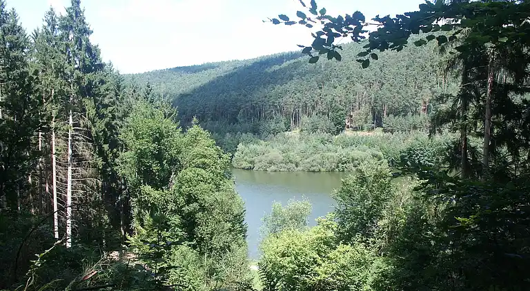 Ferielejlighed i Hüttenthal